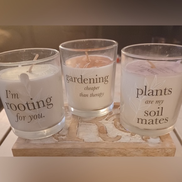 🚨3/$15 3 SASSY NEW Gardener/Plant lover ScentedCandles🪴easily packaged&shipped - Picture 6 of 6